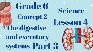 systems work together l Grade6 l Unit1concept 2lesson 4 l science part34 [upl. by Rorrys]