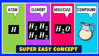 What is the difference between an Atom Element Molecule and Compound [upl. by Rianon995]