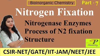 Nitrogen Fixation Process  Nitrogenase Enzymes  Bioinorganic Chemistry for CSIRNET  IITJAM [upl. by Ahsrat46]