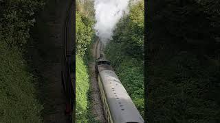 East Somerset Railway on 11th September 2024 With GWR 4110 Climbing Mendip Bank By The Bridge 🌉👍🙂🚂 [upl. by Reniar]