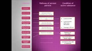 Study of Biopharmacy in Intrapulmonary route [upl. by Einra]