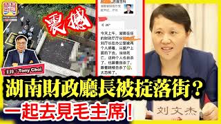 920震撼【湖南財政廳長被掟落街？】兩名苦主闖入湖南財政廳長劉文杰辦公室，要求償還拖欠的工程款6000萬不果，一起去見毛主席！主持：Tony Choi [upl. by Lasonde245]