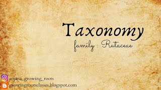 Family  RUTACEAE  Malayalam Explanation  Taxonomy  Degree [upl. by Lemon755]