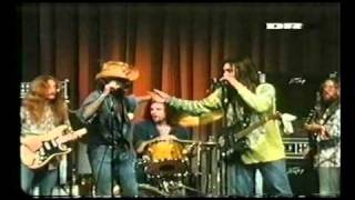 Dr Hook And The Medicine Show  quotBullfrogquot Live From Denmark 1974 [upl. by Ruhtua]