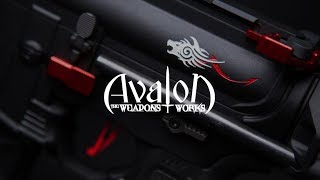 VFC Avalon Leopard [upl. by Ellenwad327]