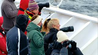 Spitsbergen Svalbard Deel 2  1314 en 15 juni 2024 [upl. by Ashil]