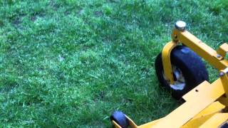 Walker Super Bee 60 inch mower [upl. by Nileek]