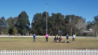 goannas vs kangaroos 21724 pt3 [upl. by Eatnad]