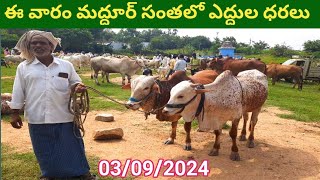 ఈ వారం మద్దూర్ సంతలో ఎద్దుల ధరలు Cattle prices in maddur cattle market [upl. by Hudnut464]