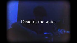 Dead in the water Noel Gallagher  Cover [upl. by Elga]