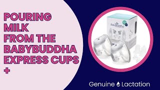 Pouring Milk From The BabyBuddha Express Cups [upl. by Ahtoelc]