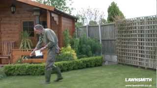 How to Over Seed a Lawn after Raking or Scarifying [upl. by Grenville310]