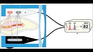 How does pulse oximeter works [upl. by Clough]