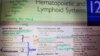 LymphomaHodgkins Lymphoma and Non Hodgkins LymphomaRobins Pathology Pathoma Special pathology [upl. by Baiel112]