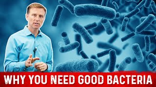 Friendly Bacteria Why You Really Need And how it Helps – Dr Berg [upl. by Worrell]