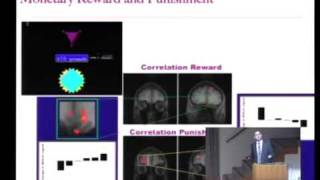 Risk The Neural Basis of Decision Making [upl. by Ecinaej]