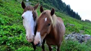 La pioggerella  canzone per bambini [upl. by Mahtal]