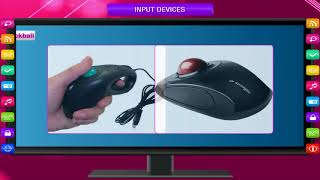 INPUT DEVICES class3 [upl. by Esoranna]