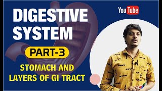 STOMACH AND LAYERS OF GI TRACT PART3  DIGESTIVE SYSTEM [upl. by Direj]