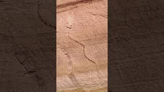 Pictographs and Petroglyphs in the American Southwest [upl. by Surtemed]