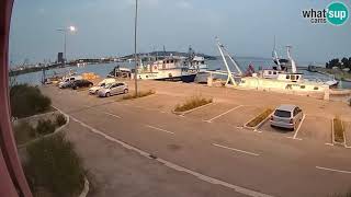 Ribarski brodovi  Friška Riba time lapse 21052024 Live Cam Croatia [upl. by Kcerb523]