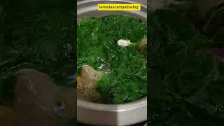 TINOLANG ISDA PINASLAN WITH MALUNGGAY MORINGA [upl. by Ki165]