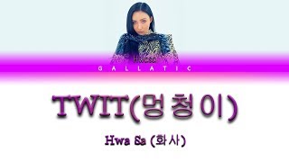 Hwa Sa화사  quotTWIT멍청이quot Lyrics Color Coded EngRomHan [upl. by Baler]