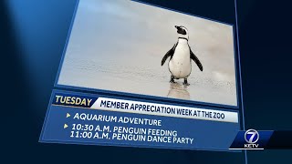 Omahas Henry Doorly Zoo celebrates member appreciation week [upl. by Ahsimrac]