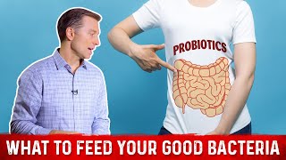 What is the Best Food for Good Friendly Bacteria – Dr Berg [upl. by Haneekas]