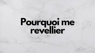 Pourquoi me revellier Instrumental  Wether [upl. by Oderfodog603]