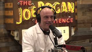 Joe Rogan Experience 2009  Duncan Trussell [upl. by Armmat3]