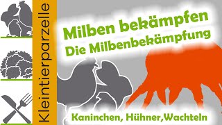 Milben bekämpfen  Die Milbenbekämpfung bei Kaninchen  Hühner  Wachteln [upl. by Jeannine]