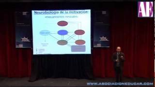 Neurobiología de la motivación Dr Prof Mario Vestfrid [upl. by Harshman]