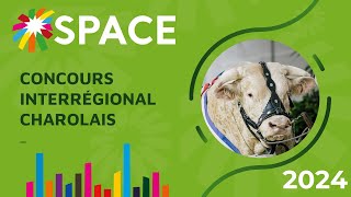 Concours Interrégional Charolais [upl. by Enra]