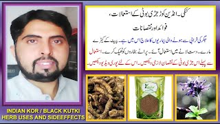 indian korblack kutki jaribooti kay fayday aor nuksan  picrorhiza kurroa benefits and sideeffects [upl. by Hctub428]