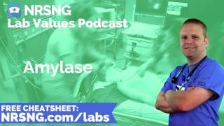 Amylase Nursing Considerations Normal Range Nursing Care Lab Values Nursing [upl. by Akilak]