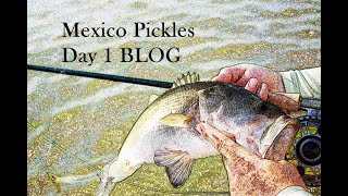 Fly Fishing Largemouth Bass  Lake Picachos May 2021 [upl. by Ardnad948]