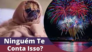 CACHORRO COM MEDO DE FOGOS DE ARTIFICIOS POR QUE ELES TEM MEDOO QUE FAZER [upl. by Oluap538]