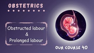 Rev Obstructed labour amp Prolonged labour  Page 225  228  Obstetrics Module 40 [upl. by Ecirtac80]