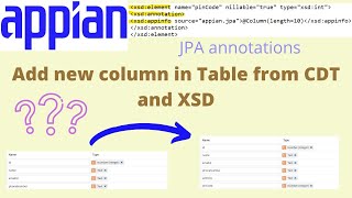 2 Appian CDT  Add New Column in CDT  JPA Annotations  Appian Tutorial [upl. by Arlette]