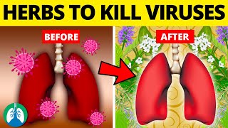 Top 10 Herbs for Lung Health Clearing Mucus COPD and Killing Viruses [upl. by Lahcar]