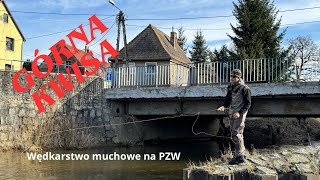 139 Kwisa PZW wędkarstwo muchowe zimą [upl. by Pearce426]