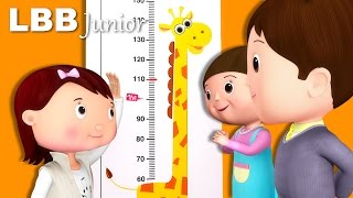 Measuring Your Height Song  How Tall Are You  Original Songs  By LBB Junior [upl. by Suivatna]