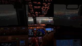 Boeing 737 Landing  B737 Max Cockpit Landing Miami [upl. by Pinchas]