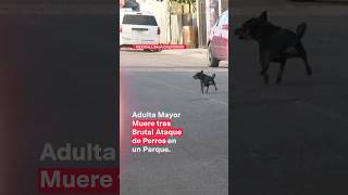 Enfermera retirada muere tras ser brutalmente atacada por perros en un parque  N Shorts [upl. by Aliuqaj783]