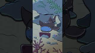 Nurse Shark 🏥🦈 animation original cartoon [upl. by Secnarf121]