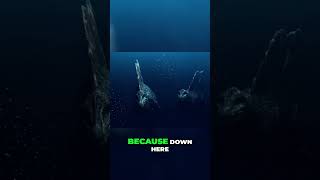 Journey into the Oceans Abyss Secrets of the Deep [upl. by Eneres]