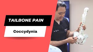 Tailbone pain Coccyx Pain Coccydynia Pain Relief  Dr Suh Specific Chiropractic NYC [upl. by Areehs]