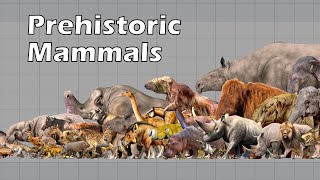 Size Comparison of Animals the Prehistoric Mammals [upl. by Sila866]