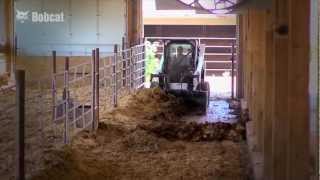 Bobcat MSeries Loaders Harmony on the Farm [upl. by Soane]